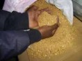 Oferecemos a venda de ouro em pó e lingotes